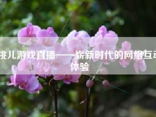 桃儿游戏直播——崭新时代的网络互动体验