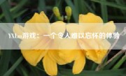 YXLm游戏：一个令人难以忘怀的体验