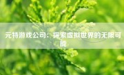 元特游戏公司：探索虚拟世界的无限可能