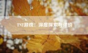 TNT游戏：深度探索与评价