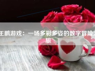 王鹏游戏：一场多彩多姿的数字冒险之旅