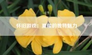 怀旧游戏：夏侯的独特魅力