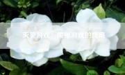 灭灵游戏：揭秘游戏的终局