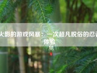 火影的游戏风暴：一次超凡脱俗的忍者体验