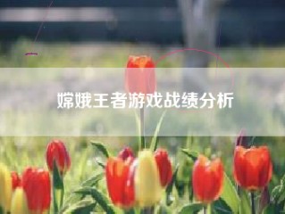 嫦娥王者游戏战绩分析