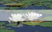 关于举报游戏公司的考量