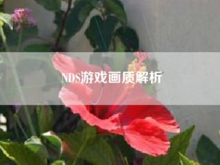 NDS游戏画质解析