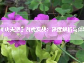 《功夫派》游戏实战：深度解析与体验