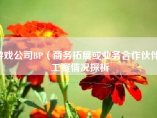 游戏公司BP（商务拓展或业务合作伙伴）工资情况探析