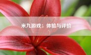 米九游戏：体验与评价