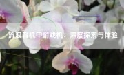 流浪者机甲游戏机：深度探索与体验