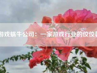 游戏蜗牛公司：一家游戏行业的佼佼者