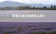 世嘉主机打游戏怎么样？