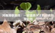 河南漫联游戏：一家值得关注的游戏开发公司