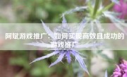 阿斌游戏推广：如何实现高效且成功的游戏推广