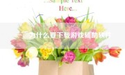 一、为什么要下载游戏辅助软件