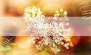 1v4打游戏怎么样