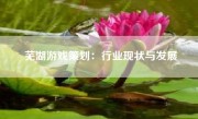 芜湖游戏策划：行业现状与发展