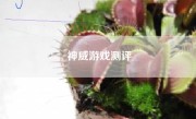神威游戏测评
