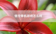 悟空单机游戏怎么样