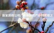新家游戏公司：未来游戏产业的璀璨之星