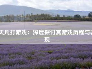 天凡打游戏：深度探讨其游戏历程与表现