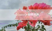 《Control》游戏评析