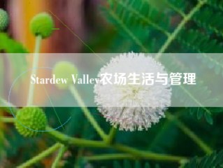 Stardew Valley农场生活与管理