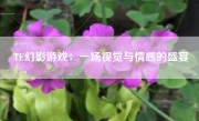 TE幻影游戏：一场视觉与情感的盛宴