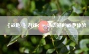 《战地3》游戏：一场震撼的战争体验