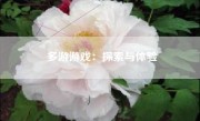 多游游戏：探索与体验