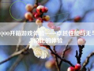 IQOO开箱游戏体验——卓越性能与无与伦比的体验