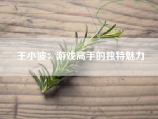 王小波：游戏高手的独特魅力