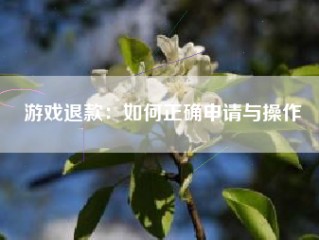 游戏退款：如何正确申请与操作