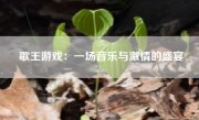 歌王游戏：一场音乐与激情的盛宴