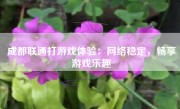 成都联通打游戏体验：网络稳定，畅享游戏乐趣