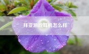 拜亚游戏耳机怎么样