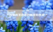 **投资开发游戏的前景和挑战**