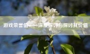 游戏荣誉值——深度探讨与探讨其价值