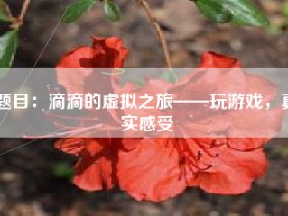 题目：滴滴的虚拟之旅——玩游戏，真实感受