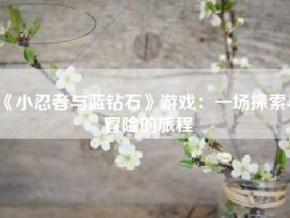 《小忍者与蓝钻石》游戏：一场探索与冒险的旅程