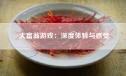 大富翁游戏：深度体验与感受