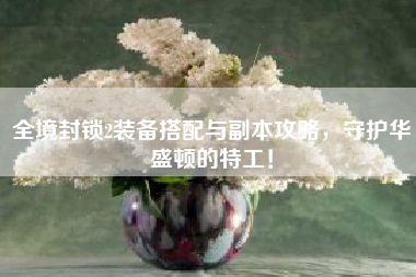 全境封锁2装备搭配与副本攻略，守护华盛顿的特工！