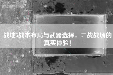 战地5战术布局与武器选择，二战战场的真实体验！