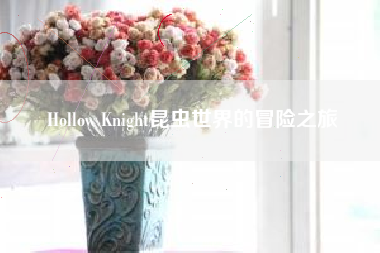 Hollow Knight昆虫世界的冒险之旅