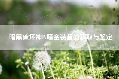 暗黑破坏神IV暗金装备的获取与鉴定