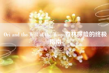 Ori and the Will of the Wisps森林探险的终极指南