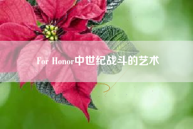 For Honor中世纪战斗的艺术