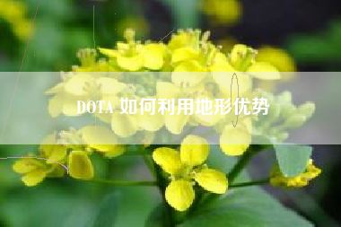 DOTA 如何利用地形优势