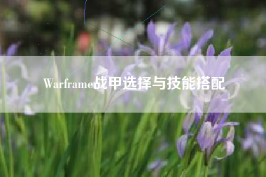 Warframe战甲选择与技能搭配